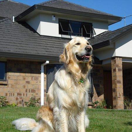 Ohuka Place Homestay Whitianga Exterior foto